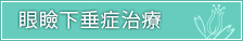眼瞼下垂症治療